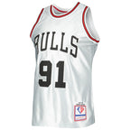 Dennis Rodman Chicago Bulls 1997/98 Hardwood Classics 75th Anniversary Swingman Jersey - Platinum