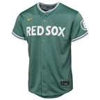 Boston Red Sox Nike Youth 2025 City Connect Limited Jersey - Green