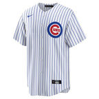 Dansby Swanson Chicago Cubs Nike Youth Alternate Replica Player Jersey - White