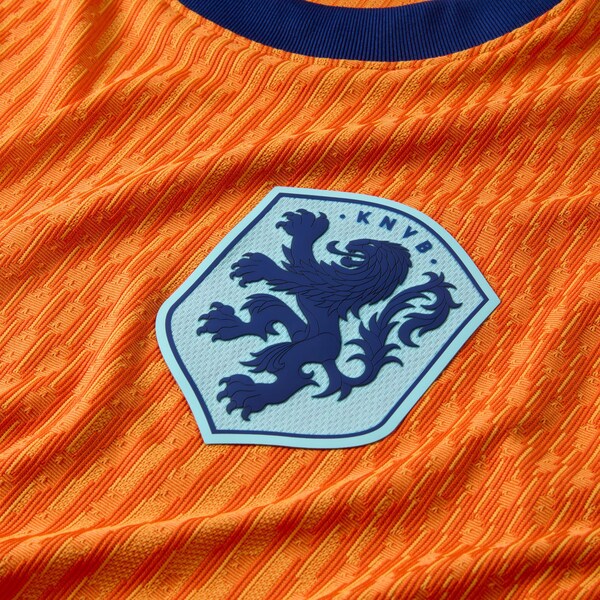 Virgil van Dijk Netherlands National Team Nike 2024 Home Authentic Jersey - Orange