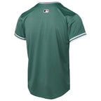 Boston Red Sox Nike Youth 2025 City Connect Limited Jersey - Green