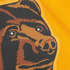 Ray Bourque Boston Bruins  1996/97 Captain Patch Blue Line Player Jersey - Gold