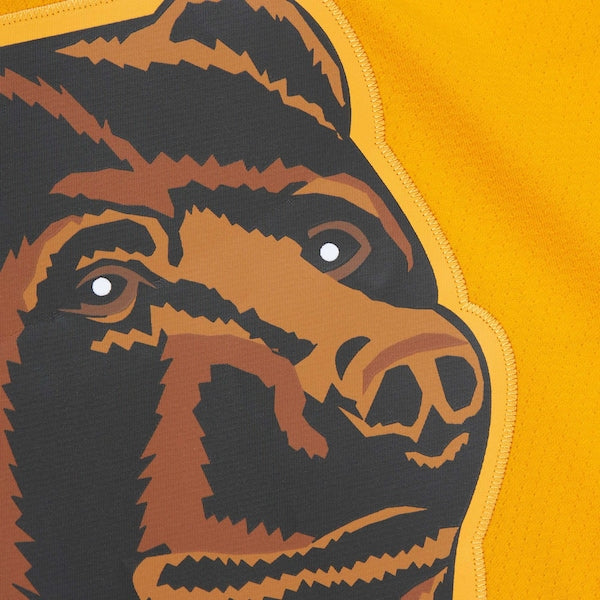 Ray Bourque Boston Bruins  1996/97 Captain Patch Blue Line Player Jersey - Gold