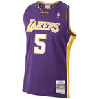 Robert Horry Los Angeles Lakers 1999/00 Hardwood Classics Swingman Jersey - Purple