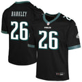 Saquon Barkley Philadelphia Eagles Nike Youth Alternate Game Jersey - Black/Kelly Green/Green/White