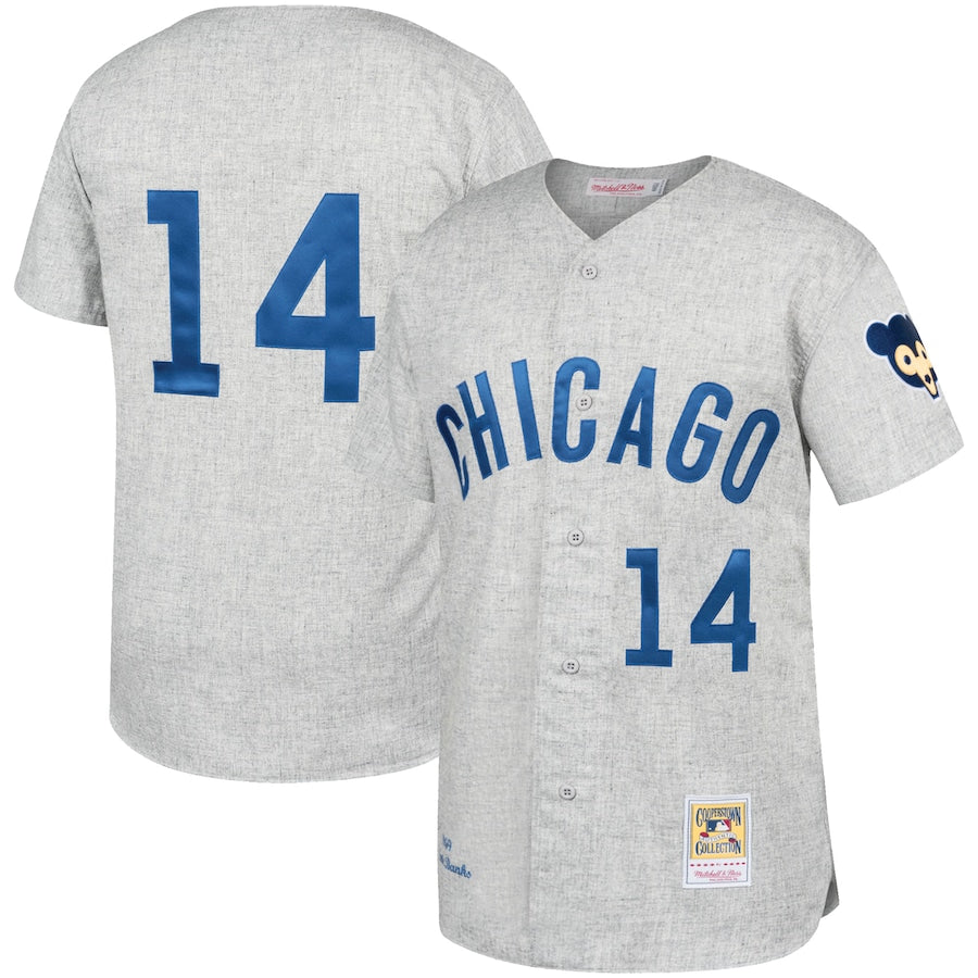 Ernie Banks Chicago Cubs Gray Away 1969 Authentic Jersey - Gray
