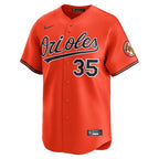 Adley Rutschman Baltimore Orioles Nike 2nd Alternate Limited Player Jersey - Orange