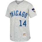 Ernie Banks Chicago Cubs Gray Away 1969 Authentic Jersey - Gray