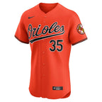 Adley Rutschman Baltimore Orioles Nike Alternate Elite Player Jersey - Orange