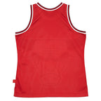 Chicago Bulls Hardwood Classics Blown Out Fashion Jersey - Red