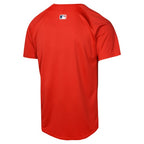 Boston Red Sox Nike Youth Alternate Limited Jersey - Red