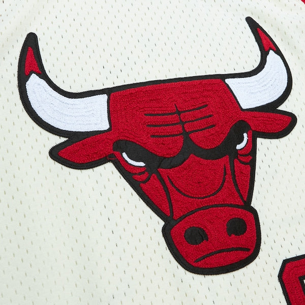 Dennis Rodman Chicago Bulls  Chainstitch Swingman Jersey - Cream