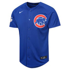 Dansby Swanson Chicago Cubs Nike Youth Alternate Limited Player Jersey – Royal