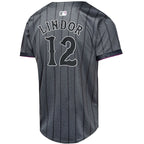 Francisco Lindor New York Mets Nike Youth 2024 City Connect Limited Player Jersey - Graphite