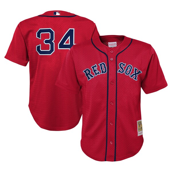David Ortiz Boston Red Sox Toddler Cooperstown Collection Mesh Batting Practice Jersey - Red