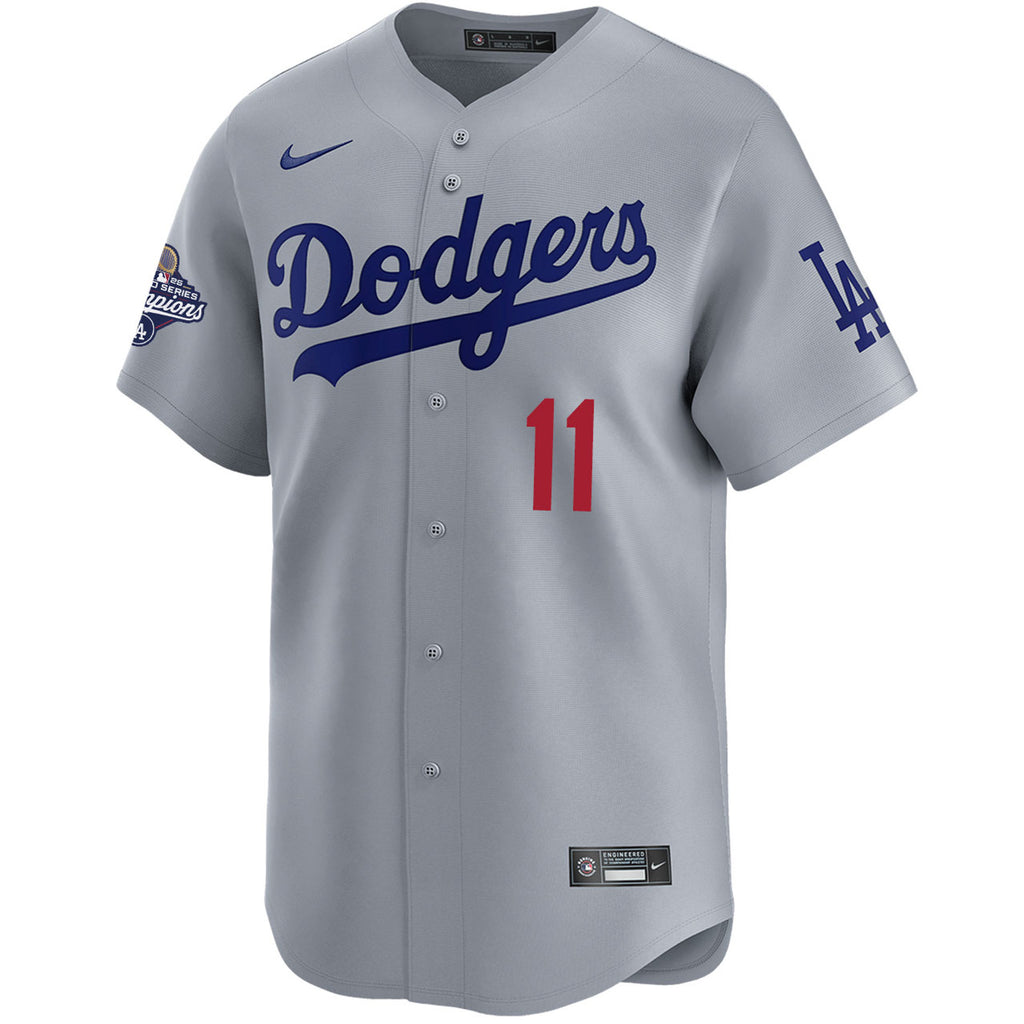 Roki Sasaki  Los Angeles Dodgers Nike 2025 World Series Champions Limited Player Jersey - Grey