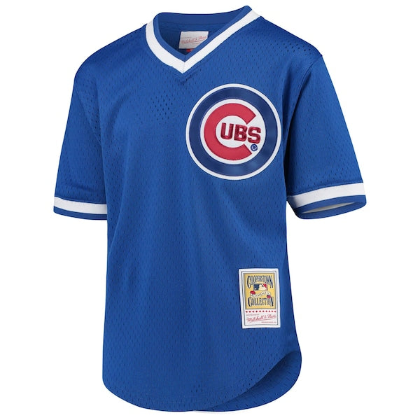 Ryne Sandberg Chicago Cubs Youth Cooperstown Collection Mesh Batting Practice Jersey - Royal