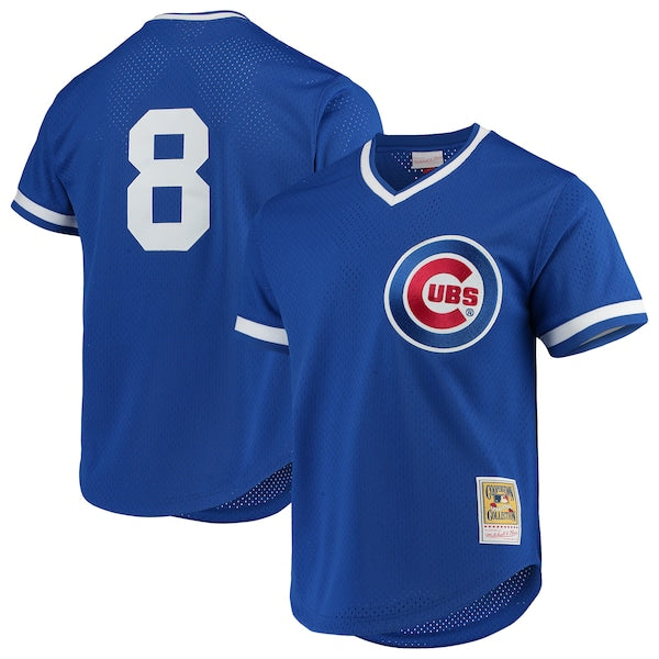 Andre Dawson Chicago Cubs Cooperstown Collection Mesh Batting Practice Jersey - Royal