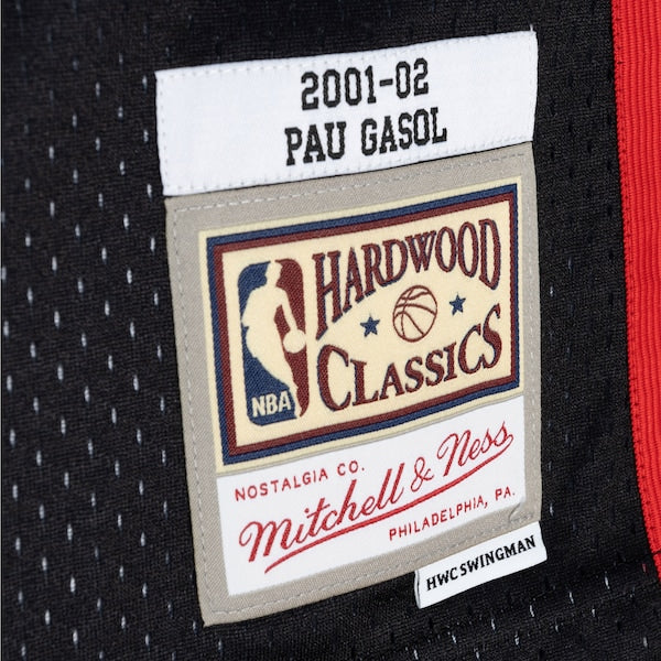 Pau Gasol Memphis Grizzlies Hardwood Classics 2001/02 Split Swingman Jersey - Black/Turquoise