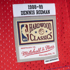 Dennis Rodman Detroit Pistons Hardwood Classics 1988/89 Split Swingman Jersey - Blue/Red
