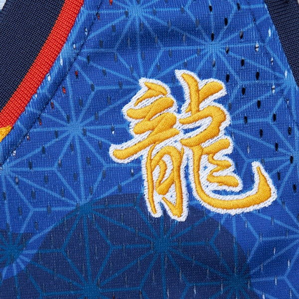 Baron Davis Golden State Warriors 2006/07 Hardwood Classics Asian Heritage 6.0 Swingman Throwback Player Jersey - Royal