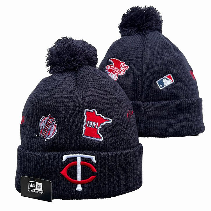 MINNESOTA TWINS KNIT HAT