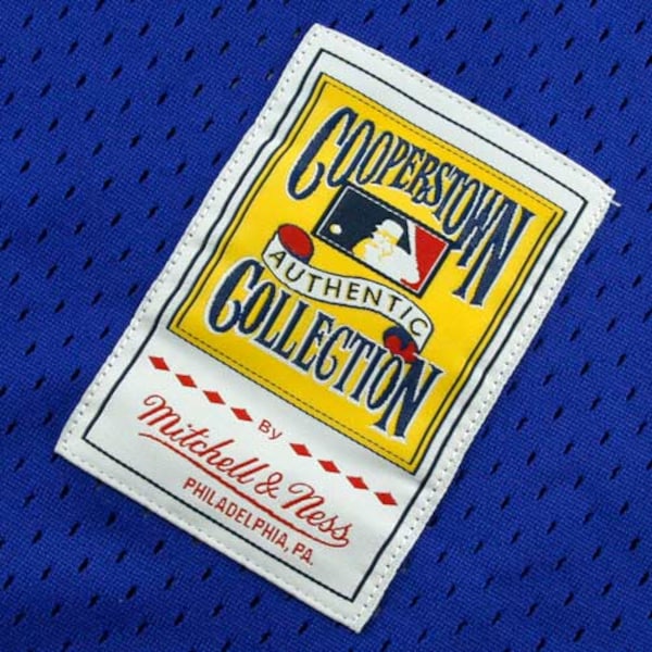 Ryne Sandberg Chicago Cubs Cooperstown Authentic Collection Throwback Replica Jersey - Royal Blue