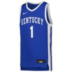 #1 Kentucky Wildcats Nike Youth Icon Replica Basketball Jersey - Royal