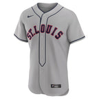 Willson Contreras St. Louis Cardinals Nike 2024 Rickwood Classic Authentic Player Jersey - Gray